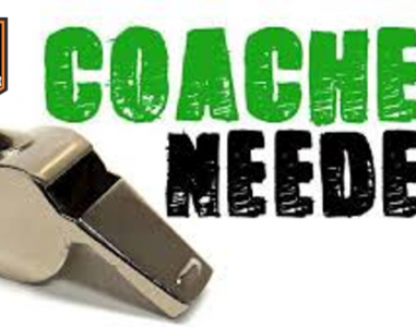 coaches wanted v2